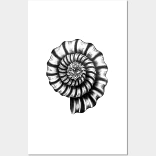 Ammonite Eye design Posters and Art